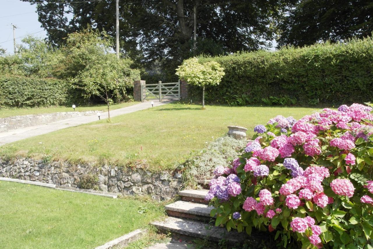 Bed and Breakfast Nettle Bank Lyme Regis Exterior foto